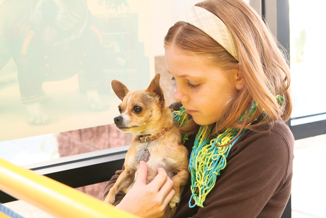 Ahwatukee Dog Show this weekend